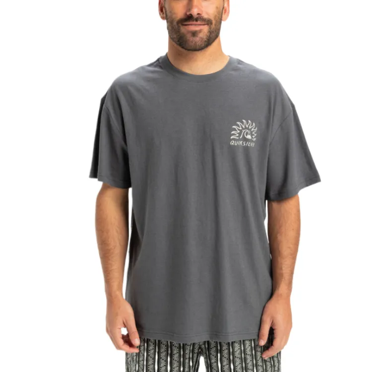 Quiksilver CL Freedom Swell T Shirt Men's Gray-2