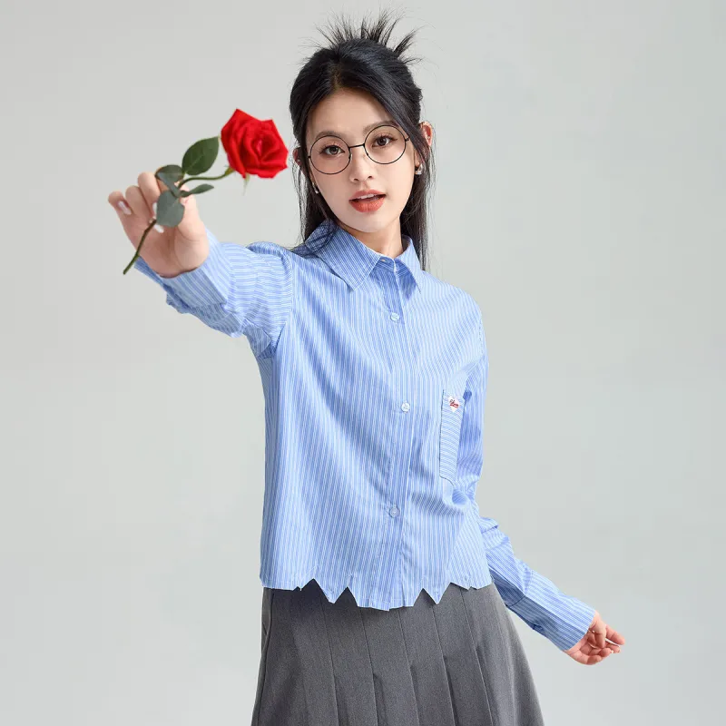 FAWENXIANGZI Spring, Fall Shirt Regular Women's Light Blue Stripes-1