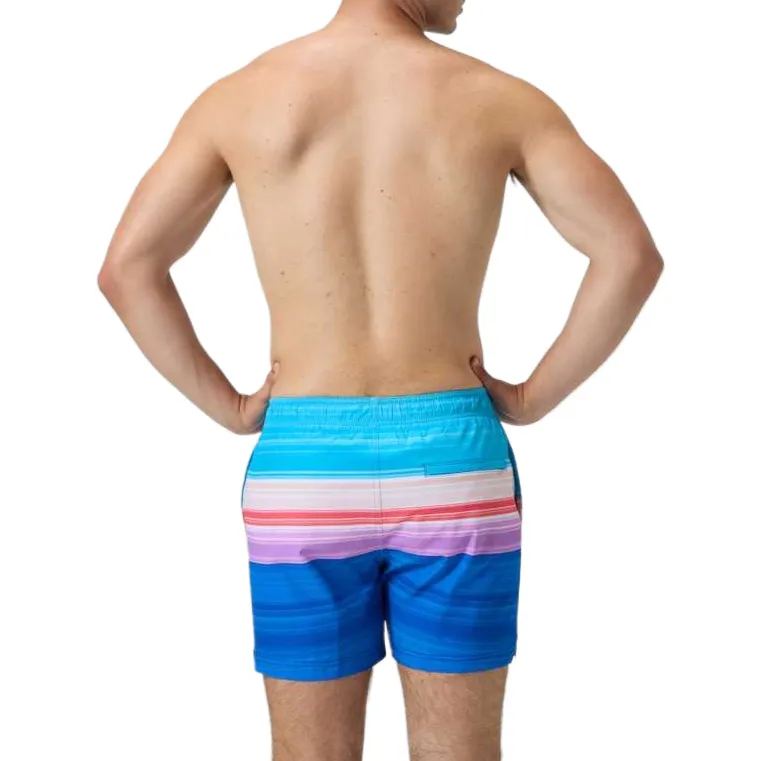 Speedo Swimming Shorts Men's Blue-4
