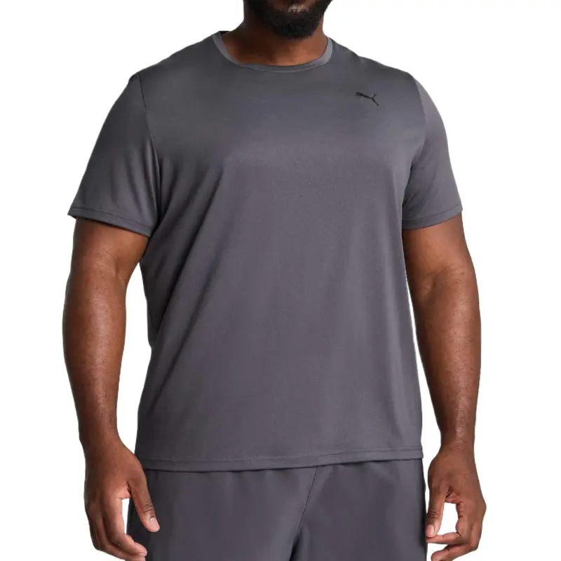 PUMA T Shirts Men Gray/69-1