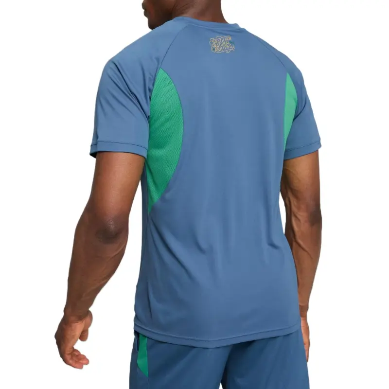 PUMA NeymarDRYCELL JR'BNA' Soccer Jerseys Men's Blue-3
