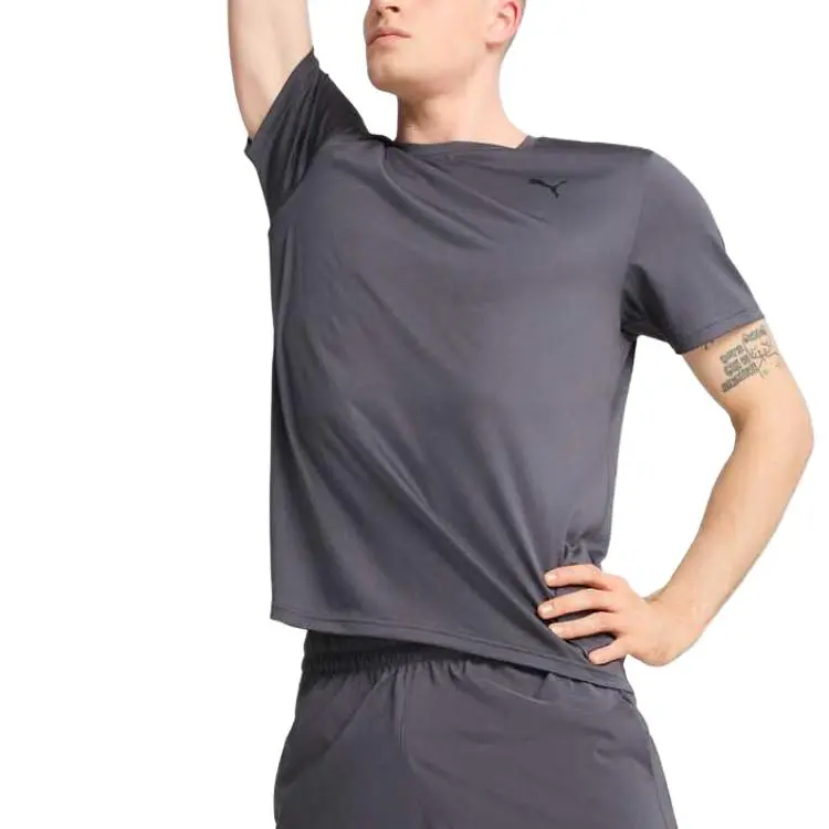 PUMA T Shirts Men Gray/69-2