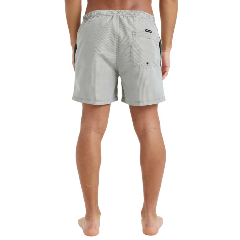Quiksilver Everyday Deluxe Swimming Shorts Men's Gray-5