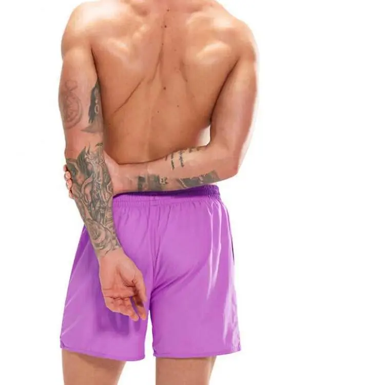 Speedo Swimming Shorts Men's Purple-2