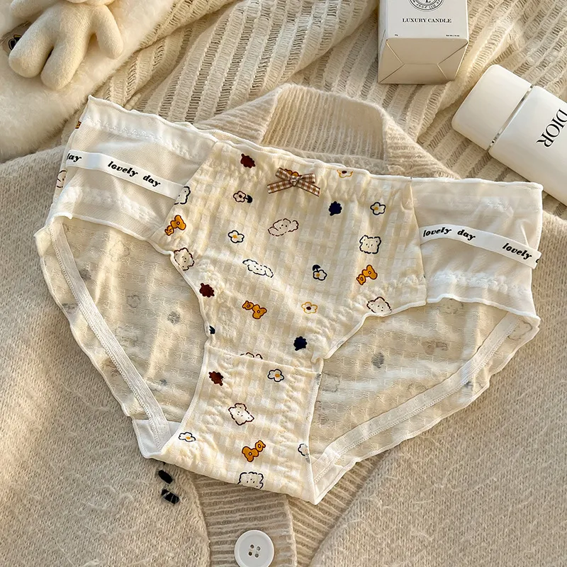 Gentle Welcome Underpants Women's 4 Pack-1