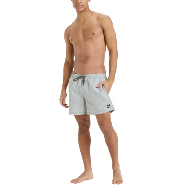 Quiksilver Everyday Deluxe Swimming Shorts Men's Gray-6