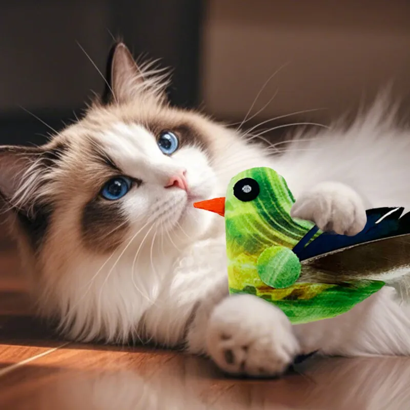 ZANCHONG Pet Toys-5