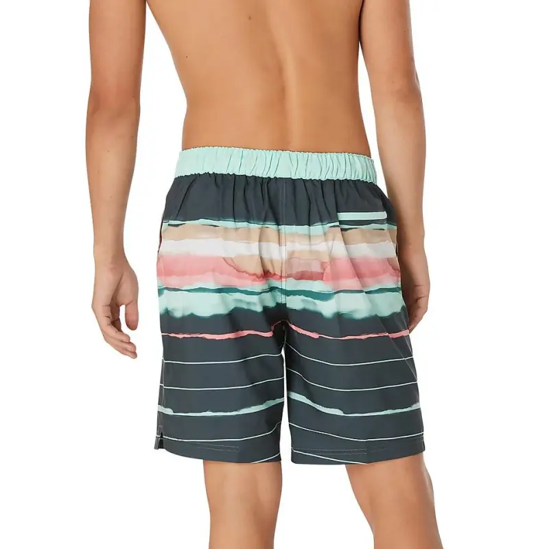 Speedo Beach Shorts Men's Volcano Gray-1