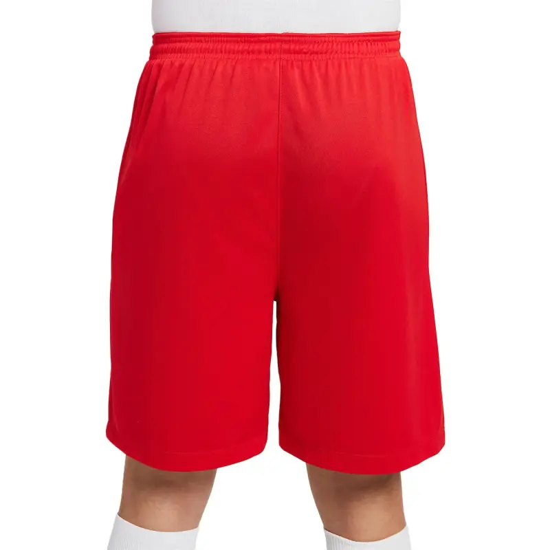 Nike Dri Fit Sports Shorts Men's University Red-1