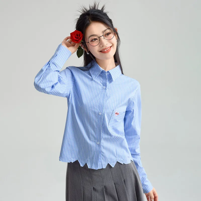 FAWENXIANGZI Spring, Fall Shirt Regular Women's Light Blue Stripes-2