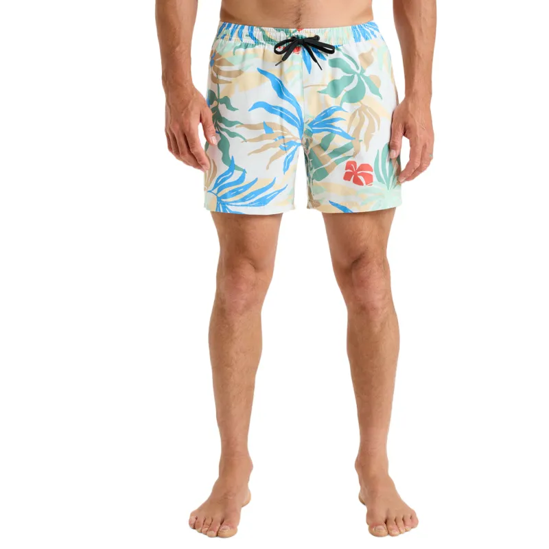 Quiksilver Everyday Straight Swimming Shorts Men's Multicolor-2