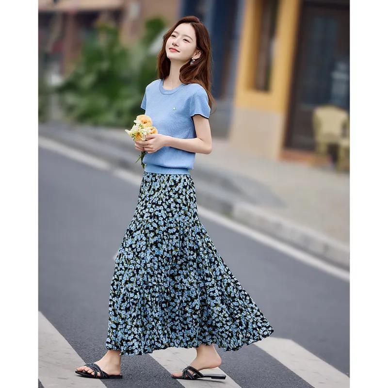Still quiet Two Piece Skirt Sets Women's Blue/Multicolor-4