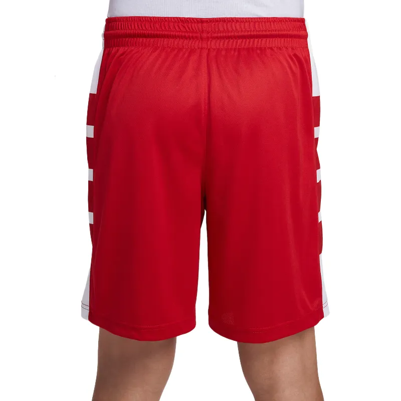 Nike Dri Fit Sports Shorts Men's Team Scarlet-1