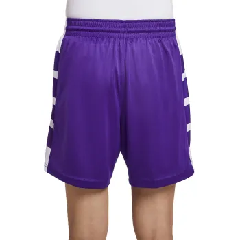 Nike Dri Fit Elite Power Sports Shorts Women's Team Purple