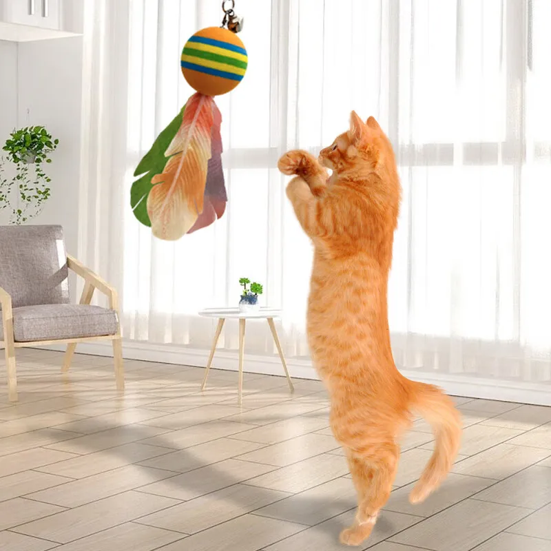 ZANCHONG Pet Toys-8
