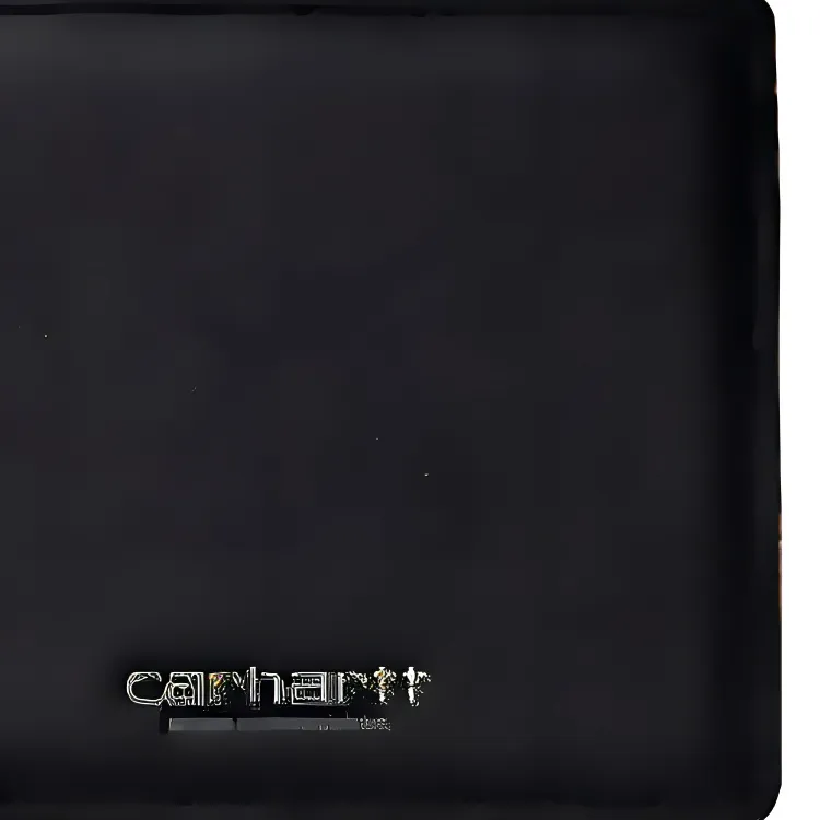 Carhartt WIP Cow Leather Wallet Men's Black-4