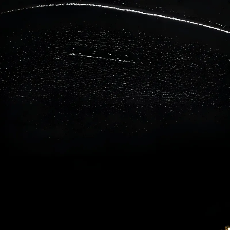 Balenciaga Cow Leather Makeup Bag, Clutch, Toiletry Bag Women's Black-4