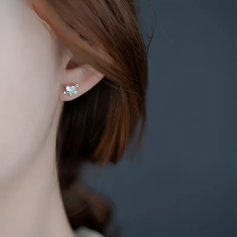 Anxious 925 Sterling Silver Needle Stud Earrings Women's-2
