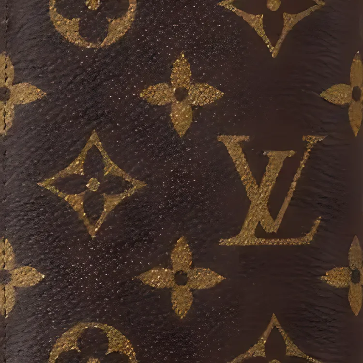 LOUIS VUITTON Canvas Wallet Unisex Brown-5
