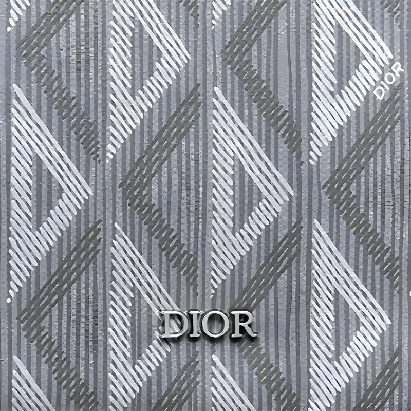 DIOR CD Diamond Canvas Handbag, Clutch, Toiletry Bag Regular Men's Gray-3