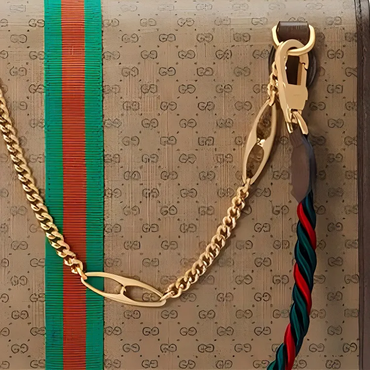 GUCCI Rajah Canvas With Leather Chain Shoulder Bag Crossbody Bag Handbag Women's Brown-4
