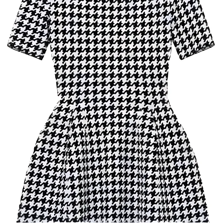 Alexander McQueen Houndstooth Dress-4