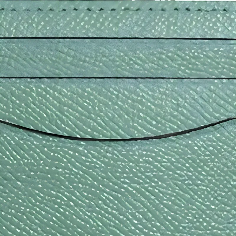 COACH Card Case Artificial Leather Card Holder Document Bag Card Holder Women's Green-3