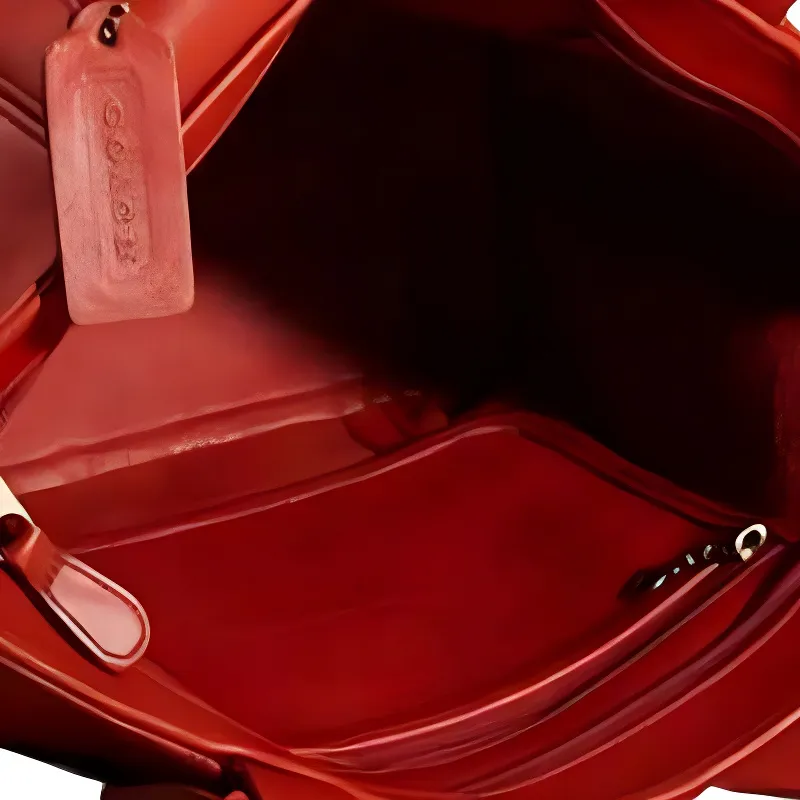 COACH Waverly Leather Handbag, Dumpling Bag, Shoulder Bag Tubas Women's Red-4