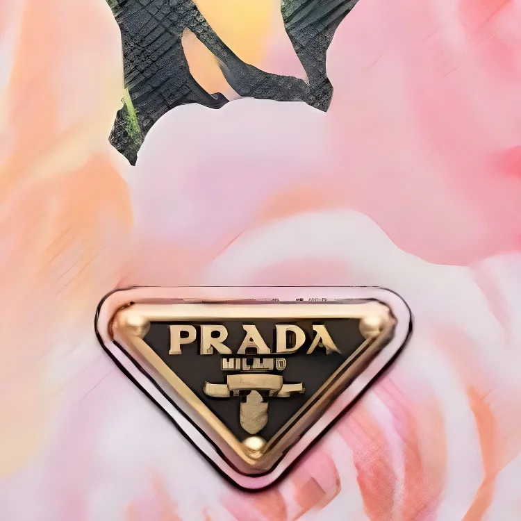 PRADA Leather Wallet Small Size Women's Multicolor-4