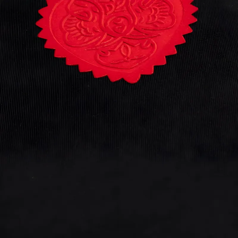 DSQUARED 2 Velvet Heart Easy Fit T Shirt-4