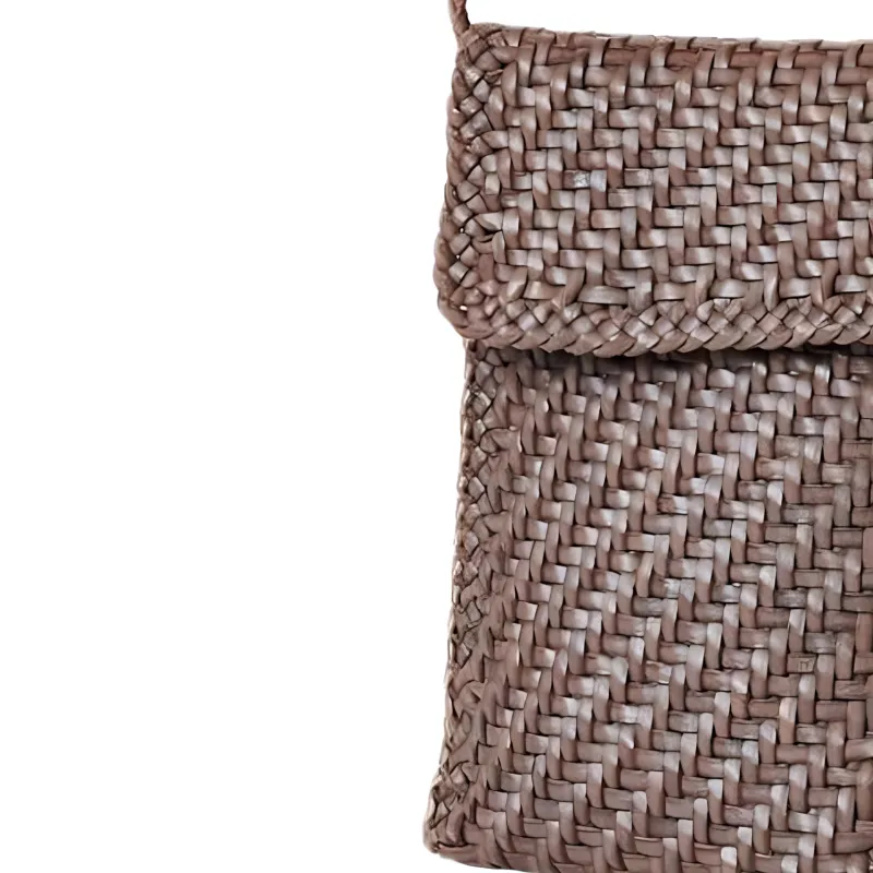 Dragon Diffusion Leather Shoulder Bag Crossbody Bag Women's Gray-2