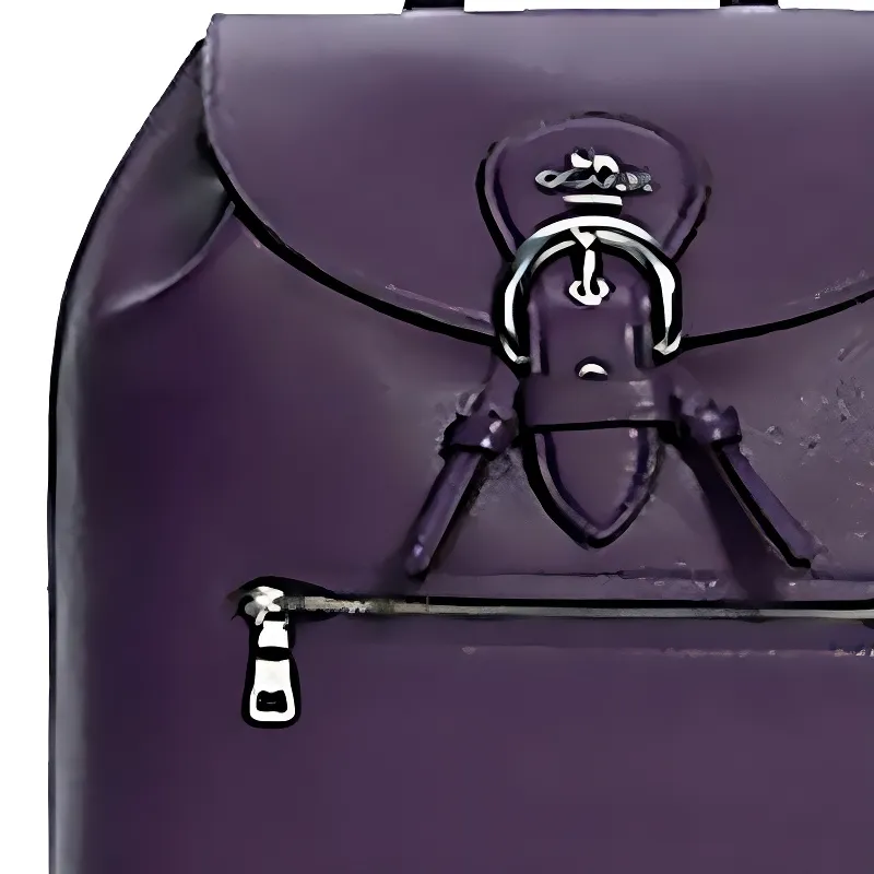 COACH Kleo Backpacks-4