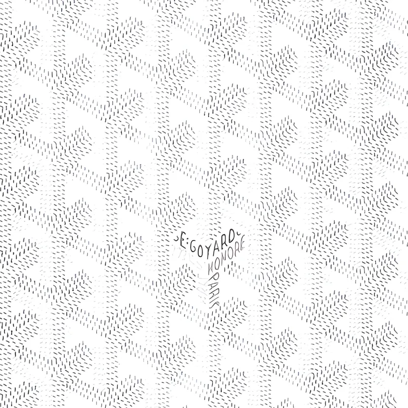 GOYARD Canvas With Calfskin Storage Bag Unisex White-2