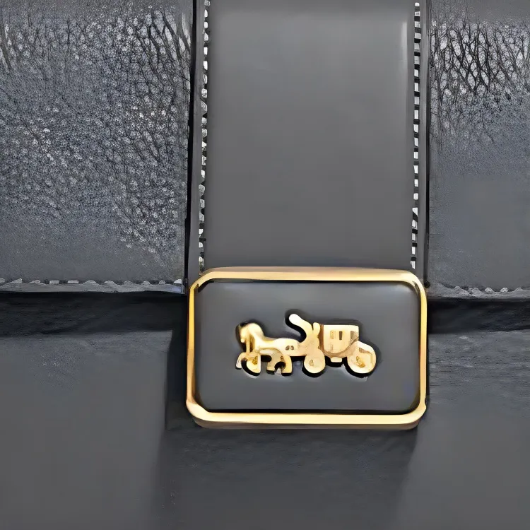 COACH Grace With Cow Leather And Sheepskin Portable Crossbody Bag, Shoulder Bag Mini Women's Gray-4