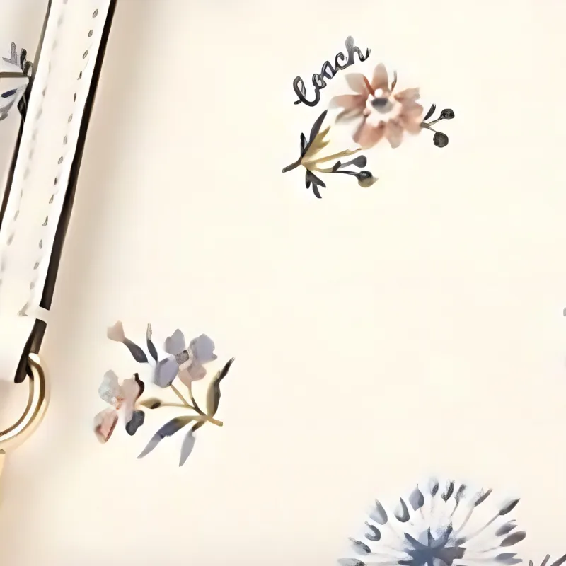 COACH Rachel Canvas With Leather Crossbody Bags Women's White-3
