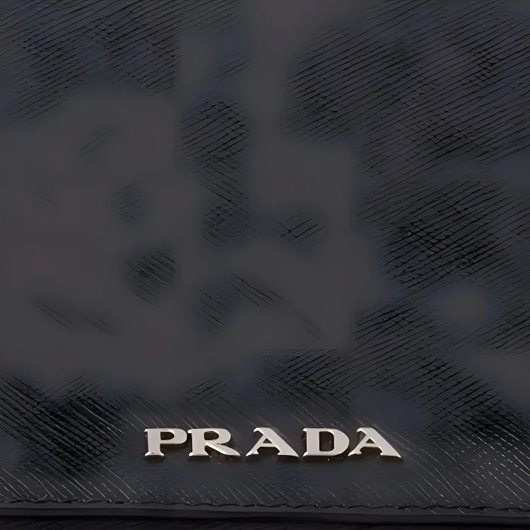 PRADA Calfskin Leather Storage Bag Unisex Black-2