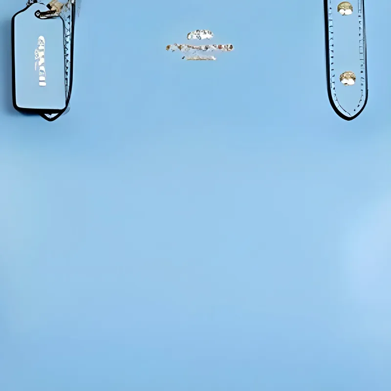 COACH City Zip Tote Shoulder Bags-2