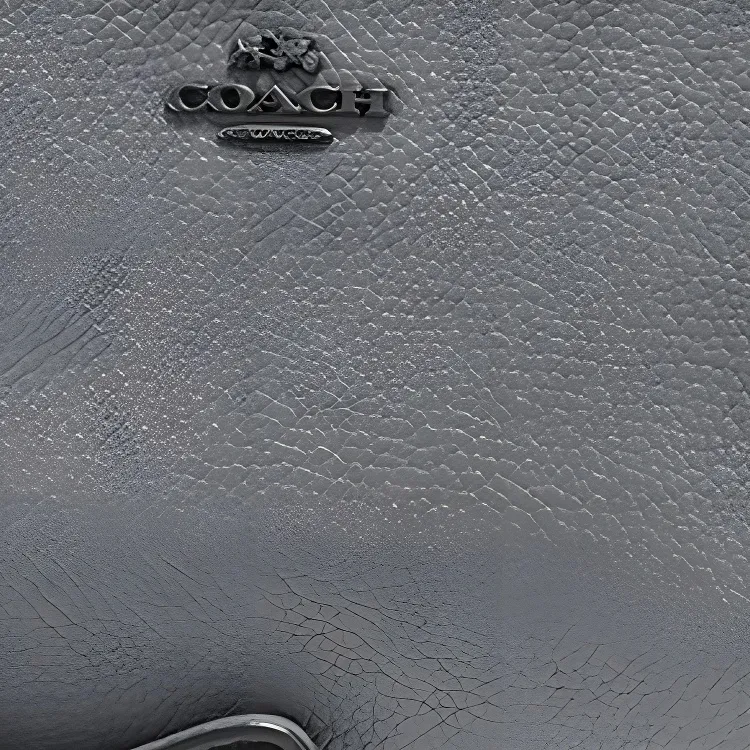 COACH Wristlet Glossy Pebbled Leather Wrist Bags Clutches Small Size Women's Gray-2