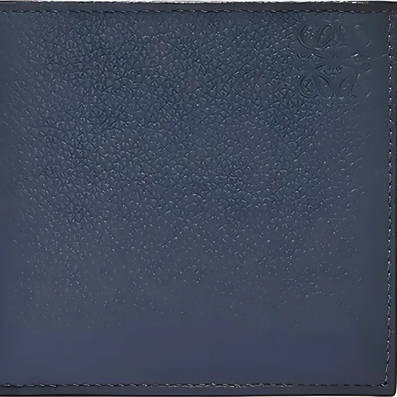 LOEWE Soft Grained Cow Leather Wallet Men's Agate Blue-5
