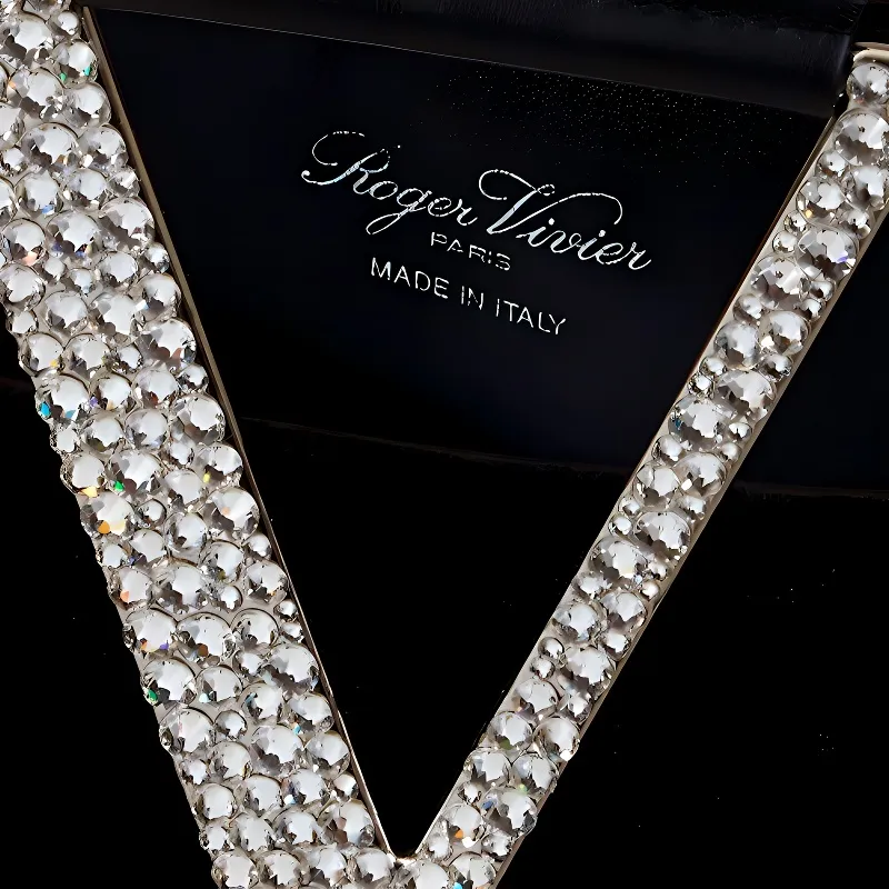 Roger Vivier Petite Soiree Handbags-4