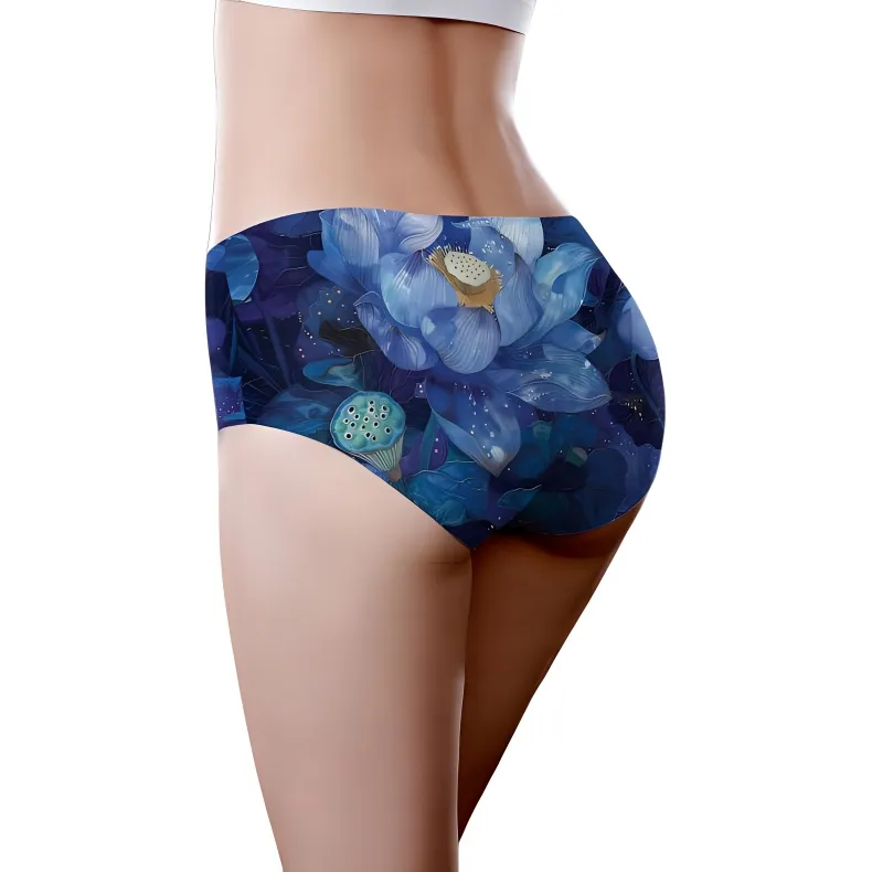 ROBINHOOD Underpants Women's 1 Pack-2