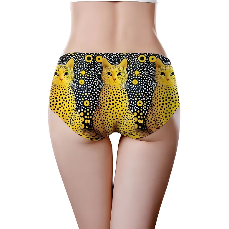 ROBINHOOD Women's Underpants-3