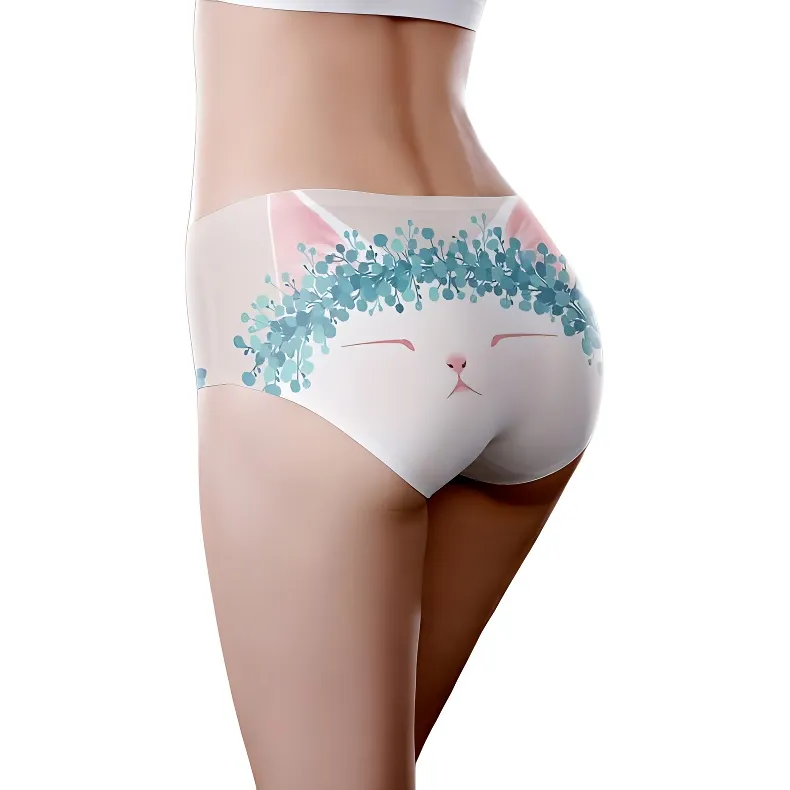 ROBINHOOD Underpants Women's 1 Pack-3