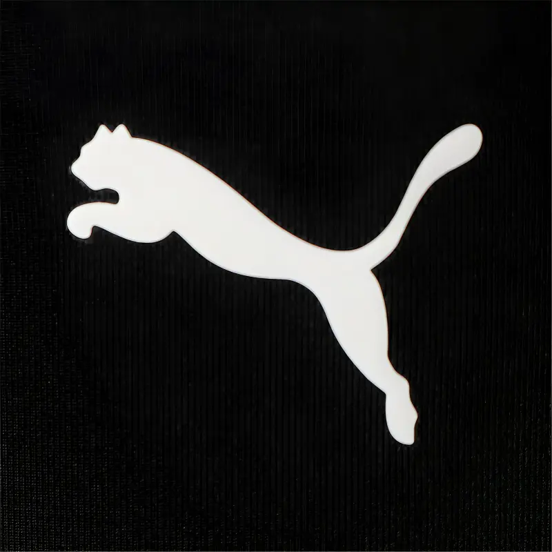 PUMA Sports Shorts Women's Black American Lion-4