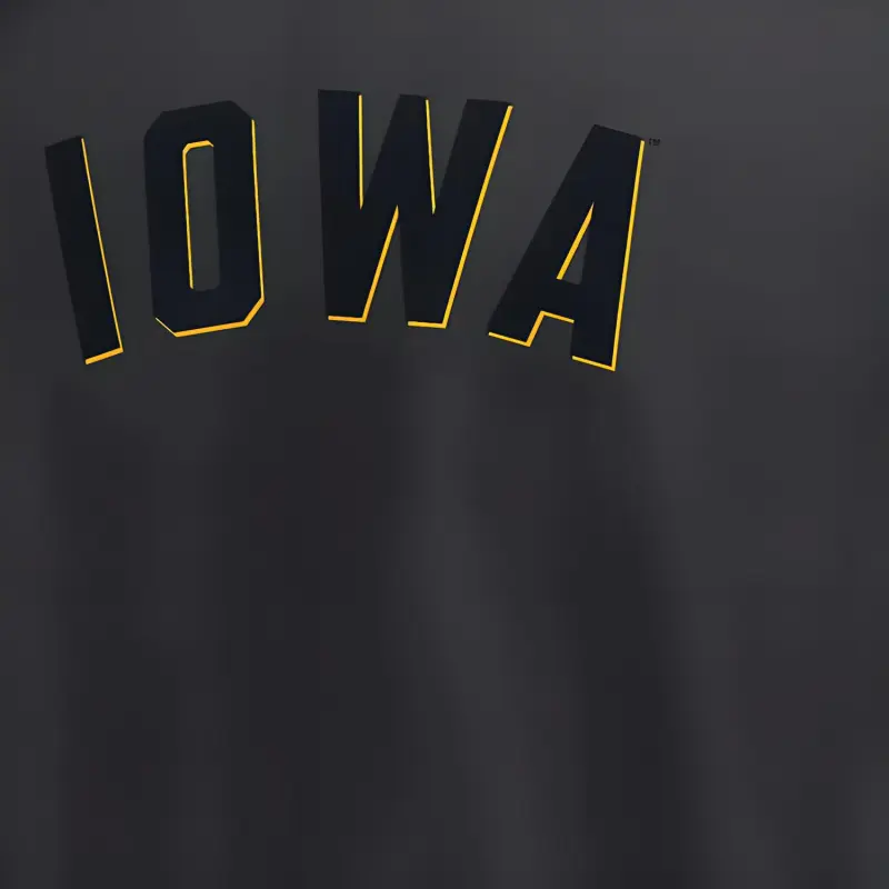 Nike Iowa Hawkeyes Statement Max90 Men's Nike College T Shirt-3