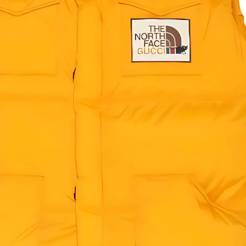 GUCCI X The North Face Down Vest-4