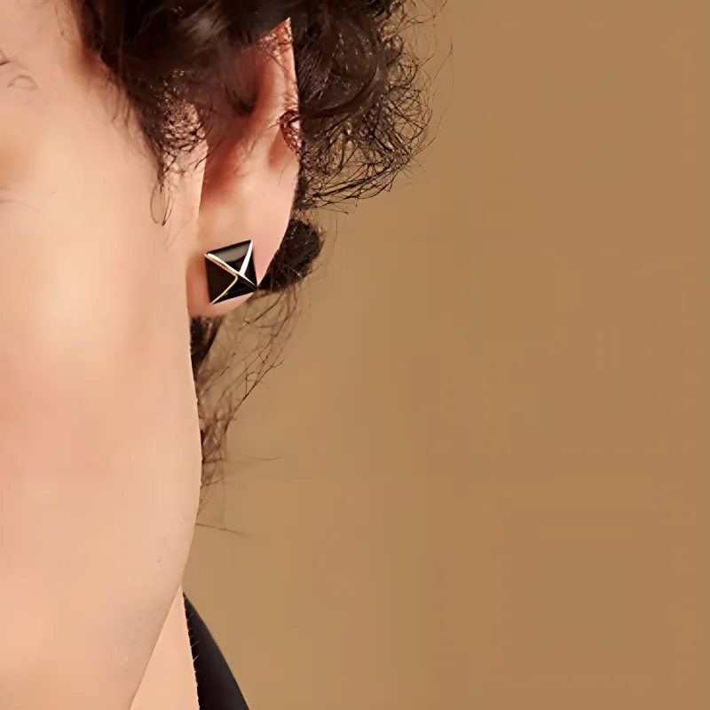 HERMES Horn Metal Palladium-Plated Stud Earrings Unisex Black-1