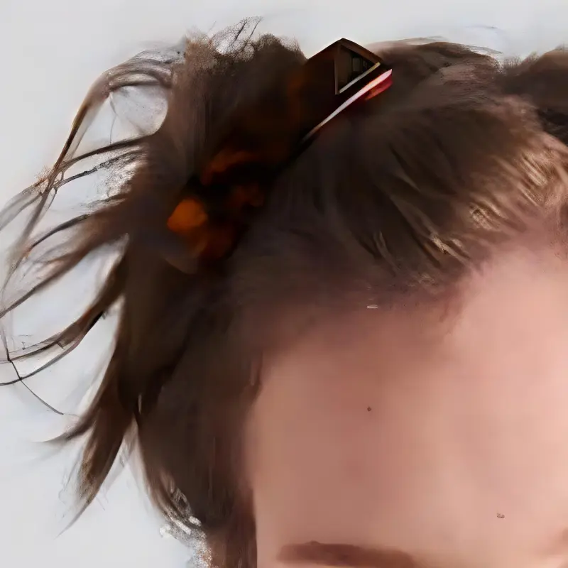 PRADA Enamel Hair Clips Women's Tortoiseshell-2