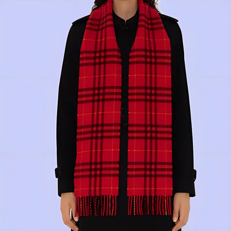Burberry Checked Fringed Edge Scarf-2