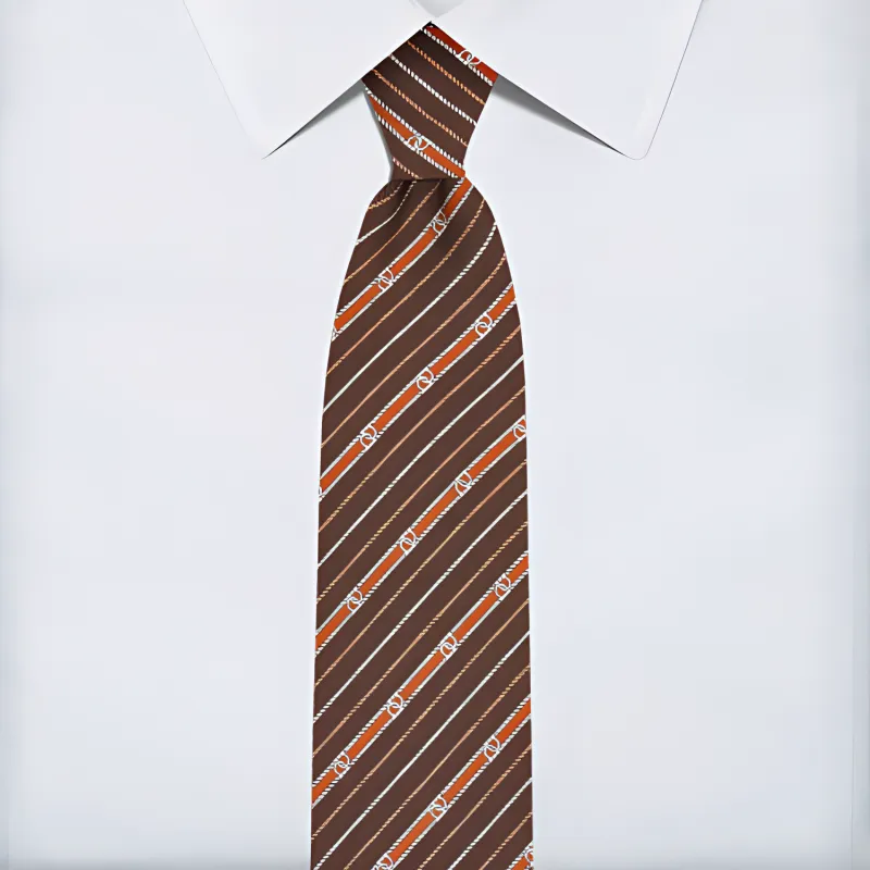 FERRAGAMO Silk Ties Men's Brown-2